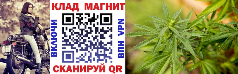 Как найти закладки Краснознаменск Галлюциногенные грибы  Гашиш  Марихуана  КОКАИН 