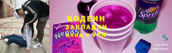 мет Алексин
