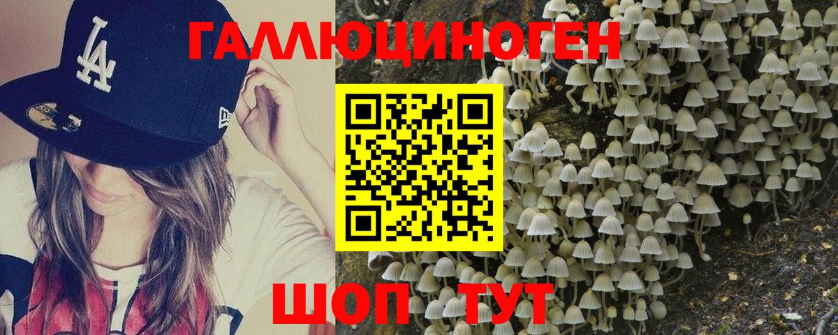 Псилоцибиновые грибы Psilocybine cubensis Краснознаменск