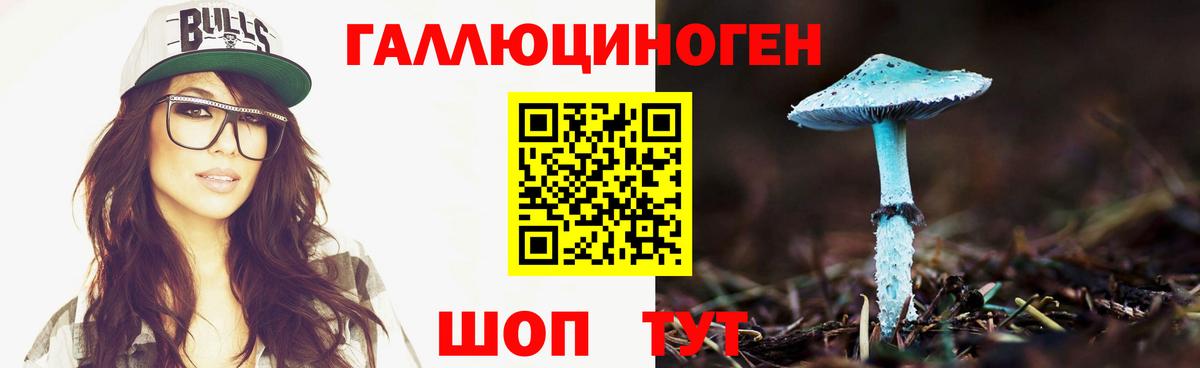 Псилоцибиновые грибы GOLDEN TEACHER  Вход с VPN  Краснознаменск 