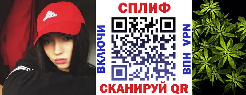 Бошки марихуана конопля  Краснознаменск 